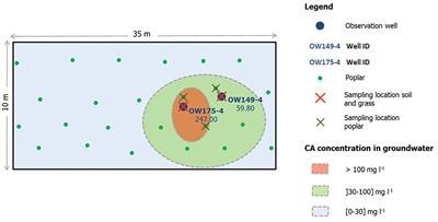 Fenton-Mediated Biodegradation of Chlorendic Acid – A Highly Chlorinated Organic Pollutant – By Fungi Isolated From a Polluted Site